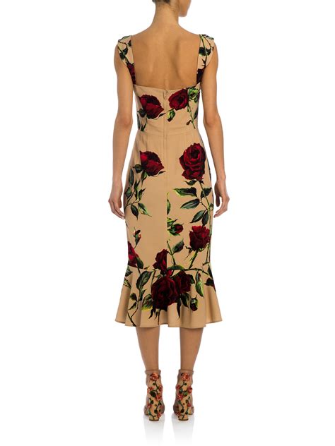 dolce gabbana dress with roses|ornament rose midi dress.